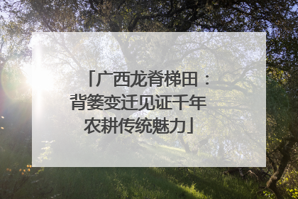 广西龙脊梯田：背篓变迁见证千年农耕传统魅力