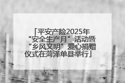 平安产险2025年“安全生产月”活动暨“乡风文明”爱心捐赠仪式在菏泽单县举行