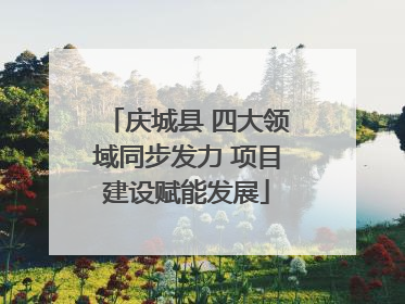 庆城县 四大领域同步发力 项目建设赋能发展