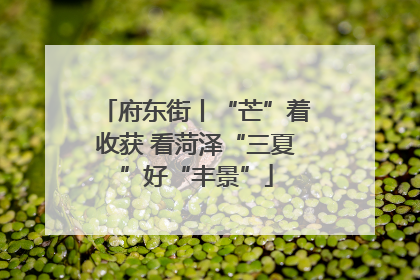 府东街丨“芒”着收获 看菏泽“三夏”好“丰景”