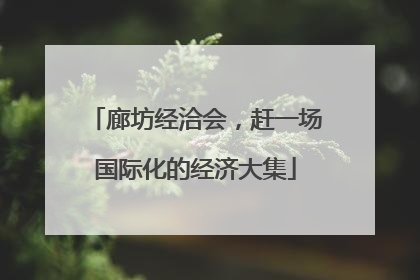 廊坊经洽会，赶一场国际化的经济大集