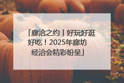 廊洽之约丨好玩好逛好吃！2025年廊坊经洽会精彩纷呈