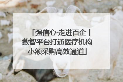 强信心·走进百企丨数智平台打通医疗机构小额采购高效通道