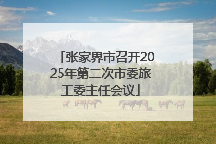 张家界市召开2025年第二次市委旅工委主任会议