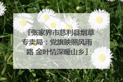 张家界市慈利县烟草专卖局：党旗映照风雨路 金叶情深暖山乡