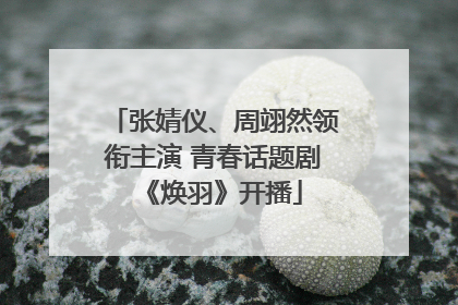 张婧仪、周翊然领衔主演 青春话题剧《焕羽》开播