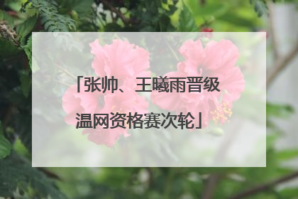 张帅、王曦雨晋级温网资格赛次轮