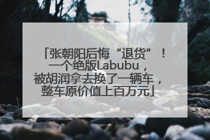 张朝阳后悔“退货”！一个绝版Labubu，被胡润拿去换了一辆车，整车原价值上百万元
