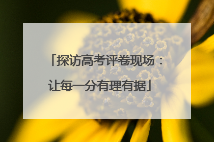 探访高考评卷现场：让每一分有理有据