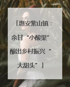 惠安紫山镇：余甘“小酸果”酿出乡村振兴“大甜头”