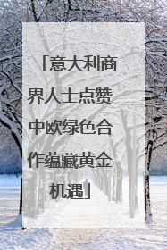 意大利商界人士点赞中欧绿色合作蕴藏黄金机遇