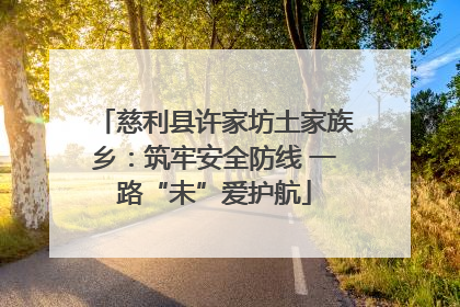 慈利县许家坊土家族乡：筑牢安全防线 一路“未”爱护航