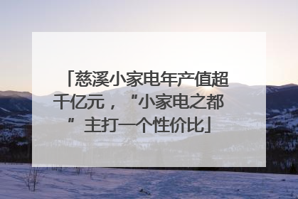 慈溪小家电年产值超千亿元，“小家电之都”主打一个性价比