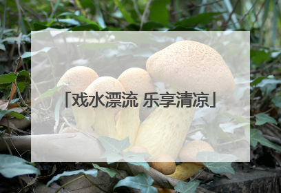 戏水漂流 乐享清凉