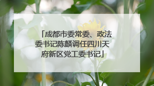 成都市委常委、政法委书记陈麟调任四川天府新区党工委书记