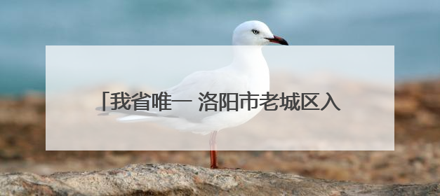 我省唯一 洛阳市老城区入围全国旅游综合实力百强区