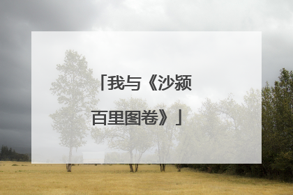 我与《沙颍百里图卷》