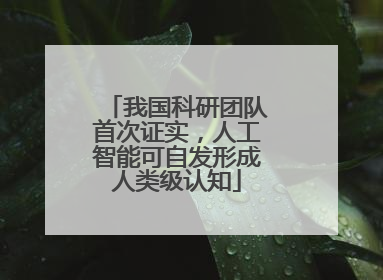 我国科研团队首次证实，人工智能可自发形成人类级认知