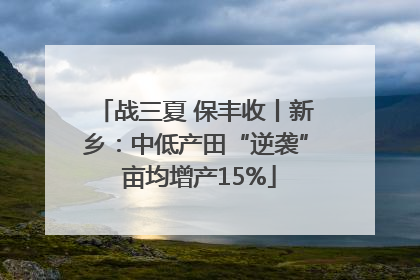 战三夏 保丰收丨新乡：中低产田“逆袭” 亩均增产15%