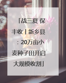 战三夏 保丰收丨新乡县：20万亩小麦种子田开启大规模收割