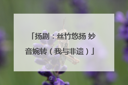 扬剧：丝竹悠扬 妙音婉转（我与非遗）