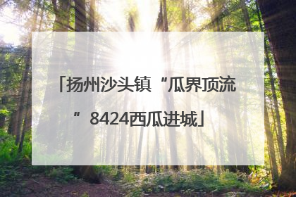 扬州沙头镇“瓜界顶流”8424西瓜进城