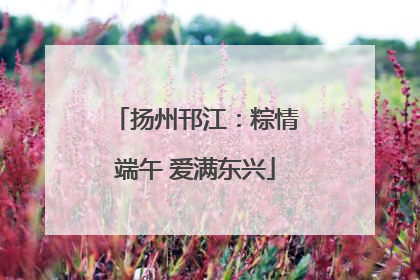 扬州邗江：粽情端午 爱满东兴