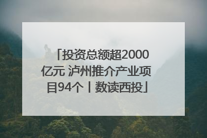 投资总额超2000亿元 泸州推介产业项目94个丨数读西投