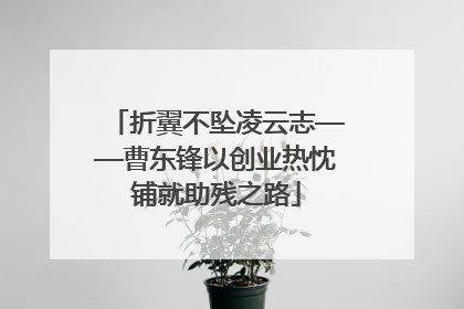 折翼不坠凌云志——曹东锋以创业热忱铺就助残之路
