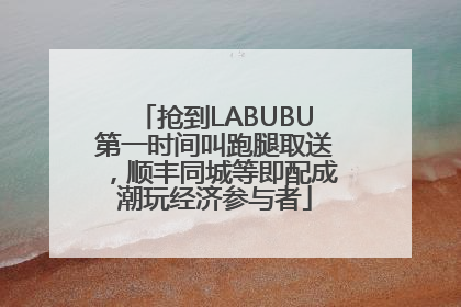 抢到LABUBU第一时间叫跑腿取送，顺丰同城等即配成潮玩经济参与者