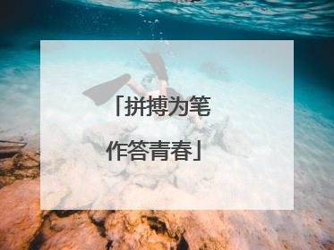 拼搏为笔 作答青春