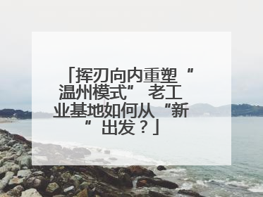挥刃向内重塑“温州模式” 老工业基地如何从“新”出发？