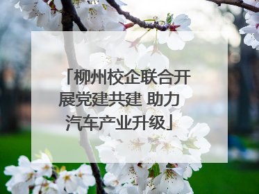 柳州校企联合开展党建共建 助力汽车产业升级