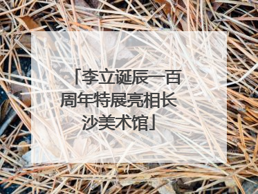 李立诞辰一百周年特展亮相长沙美术馆