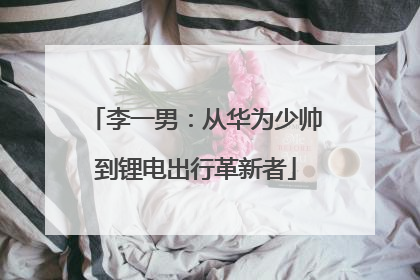 李一男：从华为少帅到锂电出行革新者