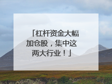 杠杆资金大幅加仓股，集中这两大行业！