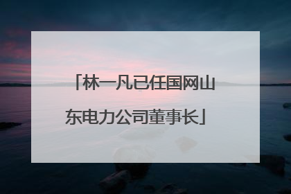 林一凡已任国网山东电力公司董事长