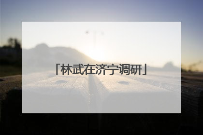 林武在济宁调研