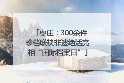 枣庄：300余件珍档联袂非遗绝活亮相“国际档案日”