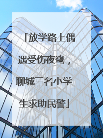 放学路上偶遇受伤夜鹭，聊城三名小学生求助民警