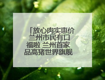 放心肉实惠价 兰州市民有口福啦 兰州首家品高猪世界旗舰店盛大开业
