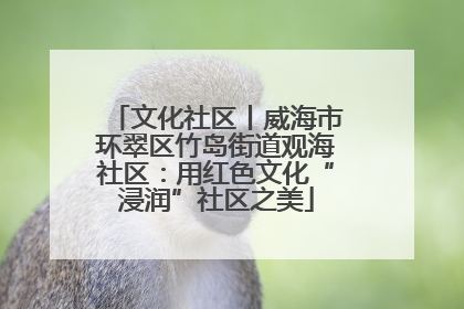 文化社区丨威海市环翠区竹岛街道观海社区：用红色文化“浸润”社区之美