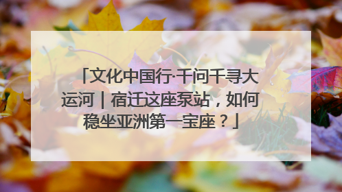 文化中国行·千问千寻大运河｜宿迁这座泵站，如何稳坐亚洲第一宝座？