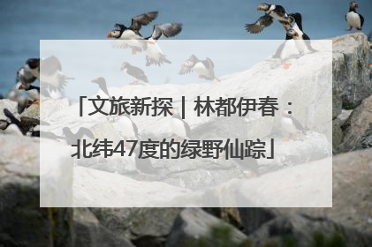 文旅新探｜林都伊春：北纬47度的绿野仙踪