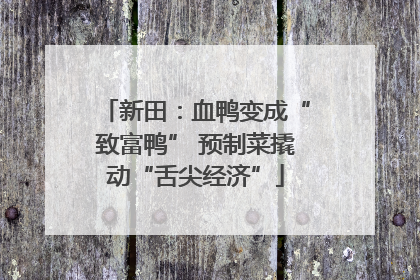 新田：血鸭变成“致富鸭” 预制菜撬动“舌尖经济”