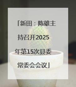 新田：陈雄主持召开2025年第15次县委常委会会议