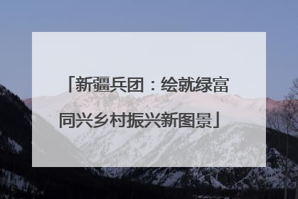 新疆兵团：绘就绿富同兴乡村振兴新图景
