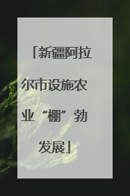 新疆阿拉尔市设施农业“棚”勃发展