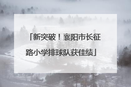 新突破！襄阳市长征路小学排球队获佳绩