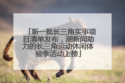 新一批长三角实事项目清单发布，潮新闻助力的长三角运动休闲体验季活动上榜
